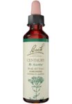Bach_Flower_Remedies_Centaury_Full-scaled-1.jpg