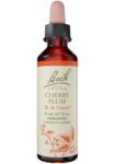 Bach_Flower_Remedies_Cherry_Plum_Full-scaled-1.jpg