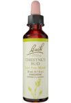 Bach_Flower_Remedies_Chestnut_Bud_Full-scaled-1.jpg