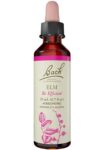 Bach_Flower_Remedies_Elm_Full-scaled-1.jpg