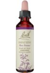 Bach_Flower_Remedies_Impatiens_Full-scaled-1.jpg