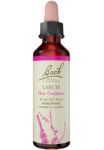 Bach_Flower_Remedies_Larch_Full-scaled-1.jpg