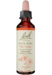 Bach_Flower_Remedies_Rock_Rose_Full-scaled-1.jpg