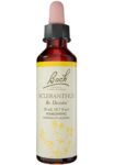 Bach_Flower_Remedies_Scleranthus_Full-scaled-1.jpg