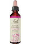 Bach_Flower_Remedies_Star_of_Bethlehem_Full-scaled-1.jpg
