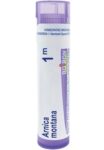 Boiron_Homeopathics_Arnica_montana_200ck_Full-scaled-1.jpg