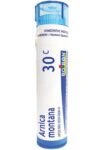 Boiron_Homeopathics_Arnica_montana_200ck_Full-scaled-1.jpg