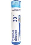 Boiron_Homeopathics_Hypericum_Perforatum_6C_Full_88da25f0-0033-410f-820f-a31a8e88634e-scaled-1.jpg