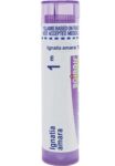 Boiron_Homeopathics_Ignatia_amara_6C_Full-scaled-1.jpg