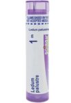 Boiron_Homeopathics_Ledum_Palustre_6C_Full-scaled-1.jpg