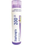 Boiron_Homeopathics_Staphysagria_6C_Full-scaled-1.jpg