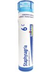 Boiron_Homeopathics_Staphysagria_6C_Full-scaled-1.jpg