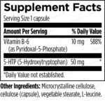 Designs_for_Health_5-HTP_Synergy_Full-scaled-1.jpg