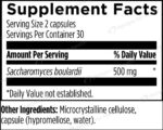 Designs_for_Health_FloraMyces_Full-scaled-1.jpg