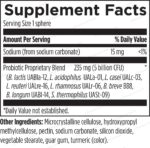 Designs_for_Health_Probiotic_Synergy_Full-scaled-1.jpg