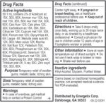 Energetix_Dental_Chord_Full-scaled-1.jpg