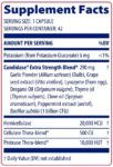 Enzymedica_Candidase_Extra_Strength_Full-scaled-1.jpg