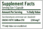 Flora_Travel_Care_Probiotic_Full_ddce33ba-2faf-46cb-b98d-c3b6b49824d2-scaled-1.jpg