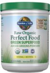 Garden of Life Raw Organic Perfect Food Green Superfood Original Powder