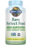 Garden_of_Life_Raw_Perfect_Food_Full-scaled-1.jpg