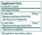 Genestra_Brands_St_Johnswort_Plus_Full-scaled-1.jpg