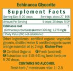 Herb_Pharm_Childrens_Echinacea_Kids_AF_1oz_Full-scaled-1.jpg