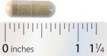 Integrative_Therapeutics_Motility_Activator_Full_26613ebb-41ee-4e4e-9c34-25432f55fd76-scaled-1.jpg