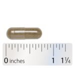 Integrative_Therapeutics_Vitex_Extract_Full-scaled-1.jpg