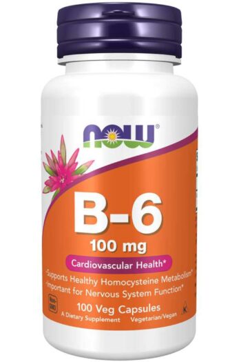 NOW B-6 100 mg