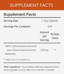 NOW_DMAE_250mg_Full-scaled-1.jpg