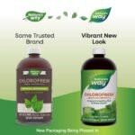 Nature_s_Way_Chlorofresh_Liquid_Mint_16oz_Full-scaled-1.jpg
