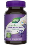 Nature_s_Way_Sambucus_Kids_Immune_Gummies_40_Full-scaled-1.jpg