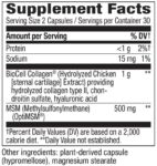 Natures_Way_Hydraplenish_with_MSM_60_Full-scaled-1.jpg