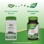 Natures_Way_Kelp_100mg_Full-scaled-1.jpg