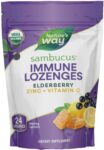 Natures_Way_Organic_Sambucus_Zinc_Lozenges_Original_Elderberry_Full-scaled-1.jpg