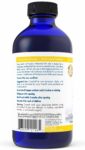 Nordic_Naturals_ProOmega_8oz_Full_07004475-8882-4893-ae3b-915db55b3c32-scaled-1.jpg
