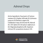Professional_Formulas_Adrenal_Drops_Full_9842cf65-8fbd-48d9-9aac-1410f5ce0e3e-scaled-1.jpg