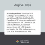 Professional_Formulas_Angina_Drops_Full_8d193d40-f996-457e-8a95-eec53e521ed2-scaled-1.jpg