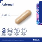 Pure_Encapsulations_Adrenal_Full-scaled-1.jpg
