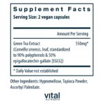 Vital_Nutrients_Green_Tea_Extract_80_120_Full-scaled-1.jpg