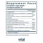 Vital_Nutrients_Immune_Support_Full-scaled-1.jpg