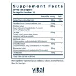 Vital_Nutrients_Liver_Support_60_Full-scaled-1.jpg