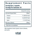 Vital_Nutrients_Pancreatin_Ox_Bile_Extract_Full-scaled-1.jpg