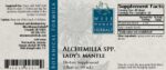 Wise_Woman_Herbals_Alchemilla_Xanthochlora_Ladys_Mantle_Full-scaled-1.jpg