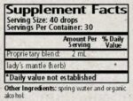 Wise_Woman_Herbals_Alchemilla_Xanthochlora_Ladys_Mantle_Full-scaled-1.jpg