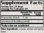 Wise_Woman_Herbals_Artemisia_Absinthium_Wormwood_Full-scaled-1.jpg