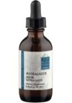 Wise_Woman_Herbals_Astragalus_Membranaceus_Full-scaled-1.jpg