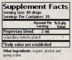 Wise_Woman_Herbals_Chelidonium_Majus_Celandine_Full_f46af1d4-7aff-4f09-85b6-73dc1f0ef44e-scaled-1.jpg