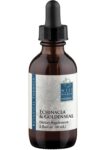 Wise Woman Herbals Echinacea and Goldenseal