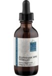 Wise Woman Herbals Euphrasia Stricta Eyebright